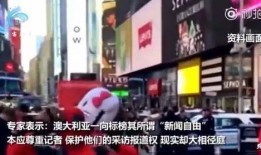 佛山求助记者爆料事件视频,真相与舆论的碰撞